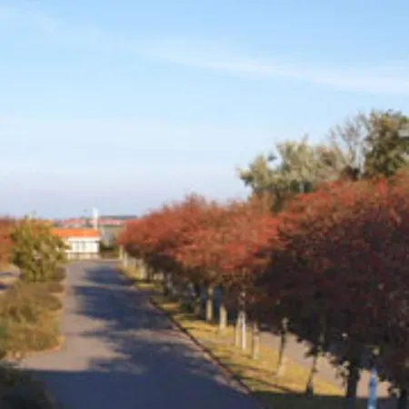 Hafenblick - Mit Balkon & Strandkorb Am Suedstrand 아파트 페마른